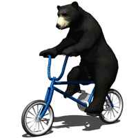 Bear Bicycle